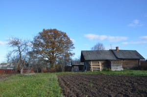 5. Old farm at Shutovo  (Sülätüvä) village